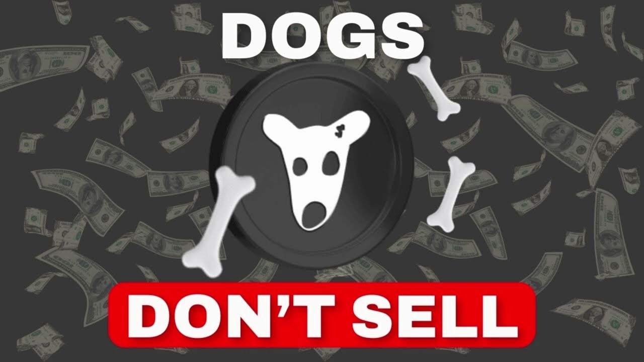 Why DOGS Coin is the Largest Memecoin in WEB3