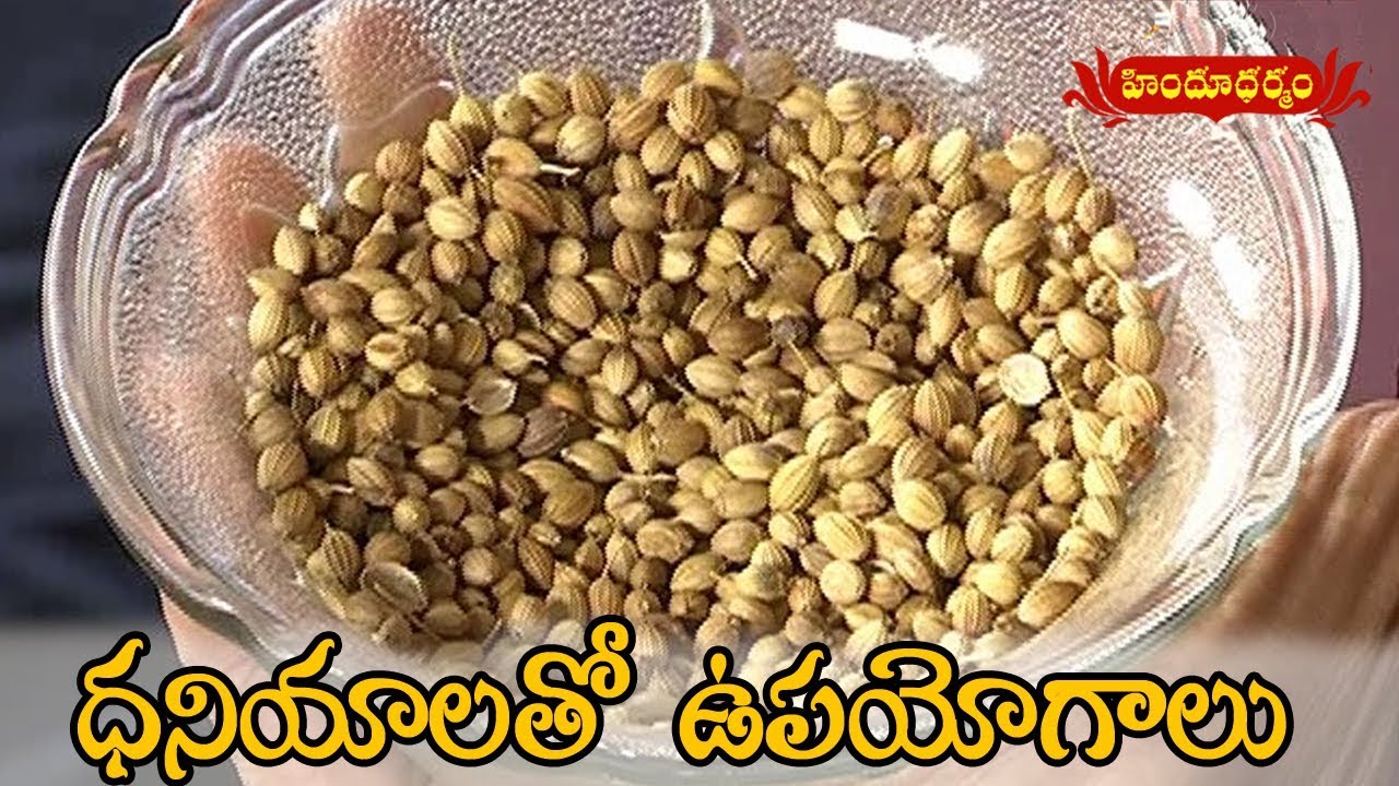 Health Benefits Of Dhaniya (Coriander Seeds) | Veda Vaidhyam | Hindu Dharmam
