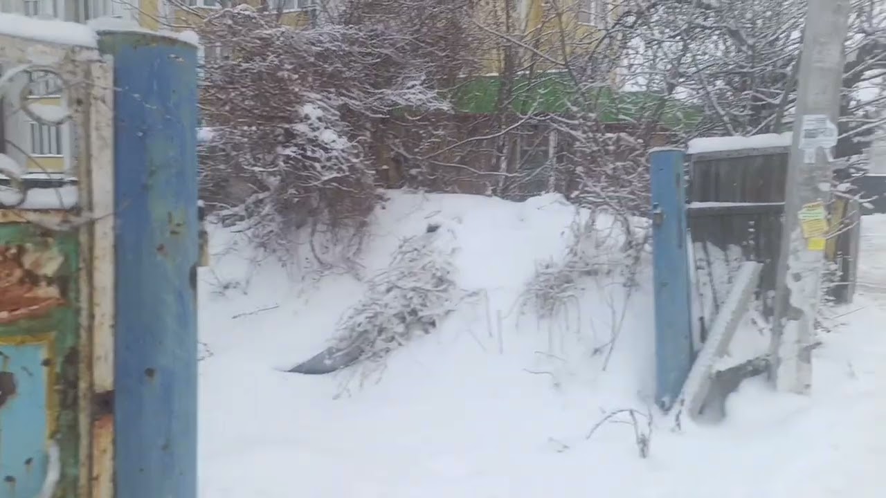 Лягушка лови.нажывку а нам все равно с  Новым Годом вас