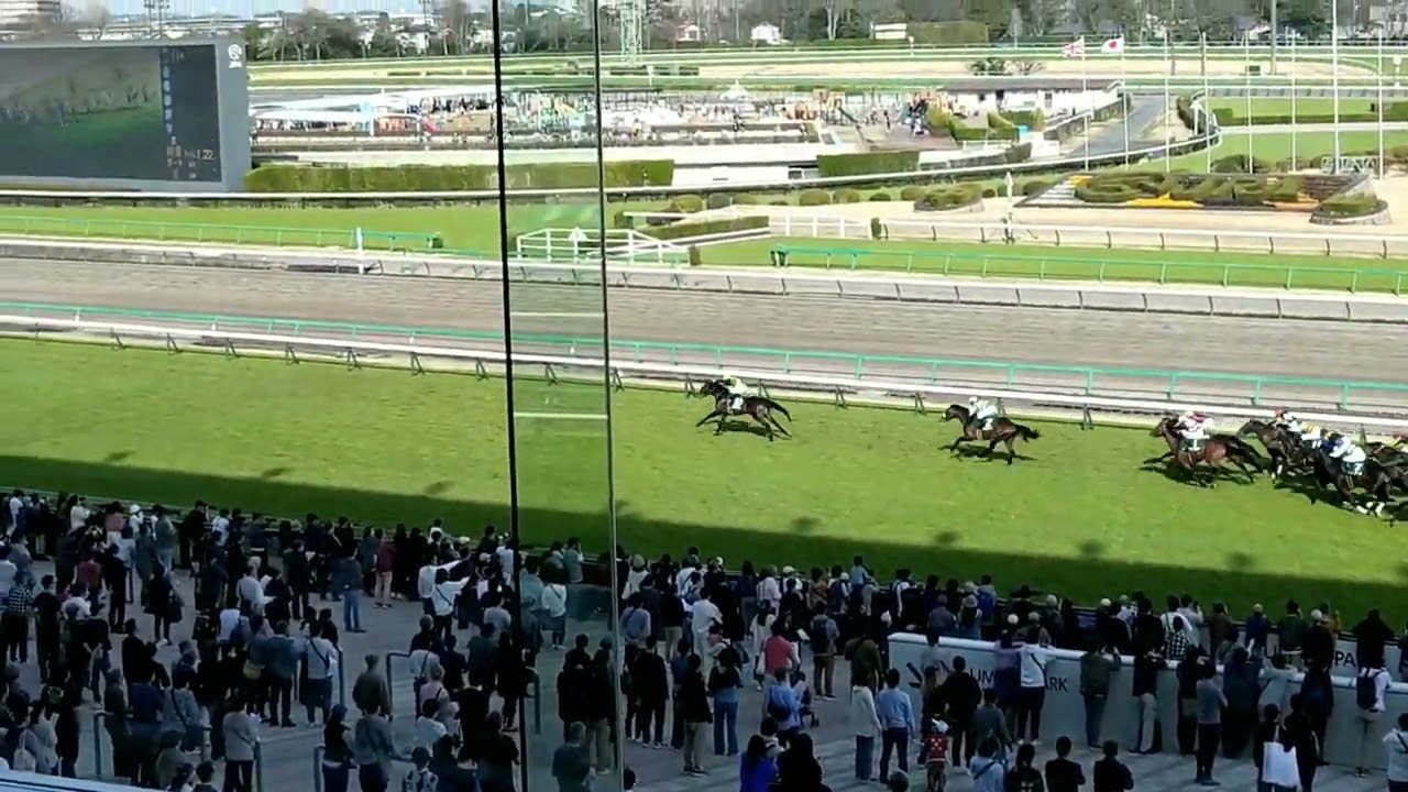 中山競馬場　UMACAシート・ウマカシート（スタンド3階・指定席）レース観戦VIEW　※ダービー卿チャレンジトロフィー
