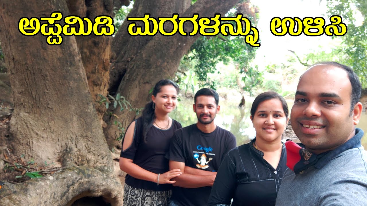 ರಿಪ್ಪನಪೇಟೆಯ ಅಪ್ಪೆಮಿಡಿಯ ರೋಚಕ ಕಥೆ Save Appemidi Trees [Kannada Vlogs] - Mr and Mrs Kamath