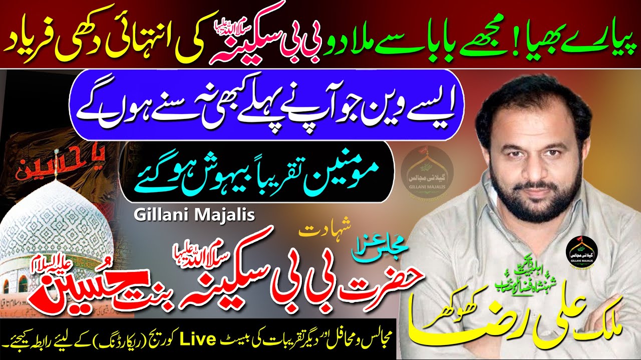 Zakir Ali Raza Khokhar || Majlis Bamuqam Imam Bargah Qasr ul Qaim Sargodha  || Gillani Majalis 