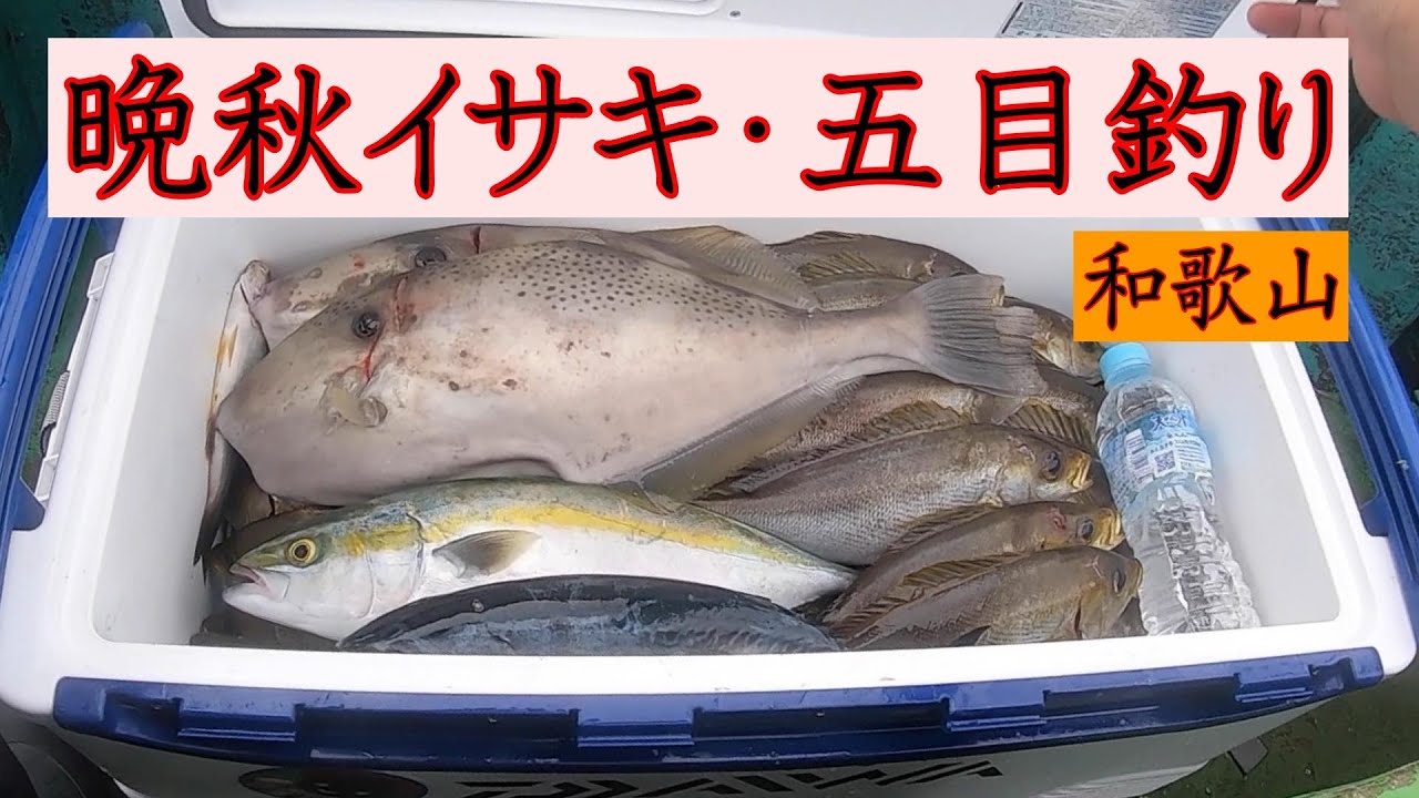 《和歌山・共栄丸》和歌山の美味しいイサキは秋からです。晩秋イサキの五目釣り2021 10 11　イサキ釣り
