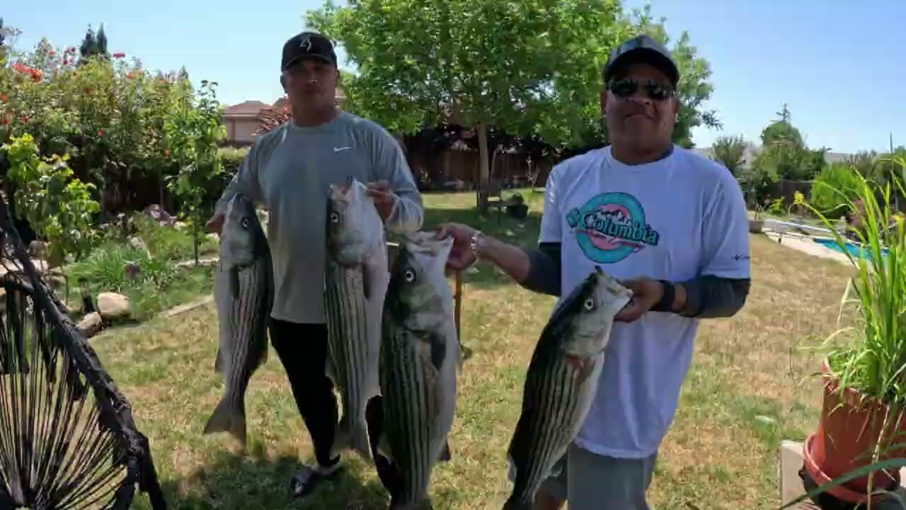 30 MPH Winds Striper Fishing Limited Out
