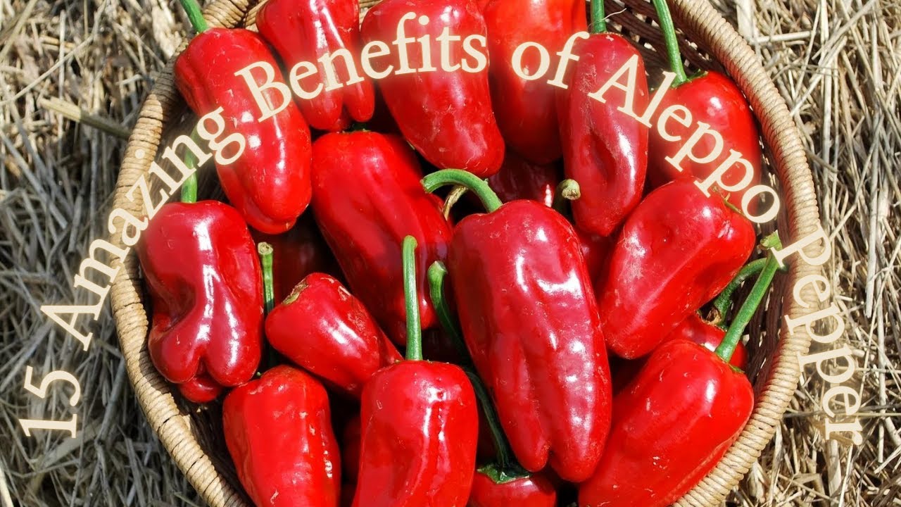 15 Amazing Benefits of Aleppo Pepper