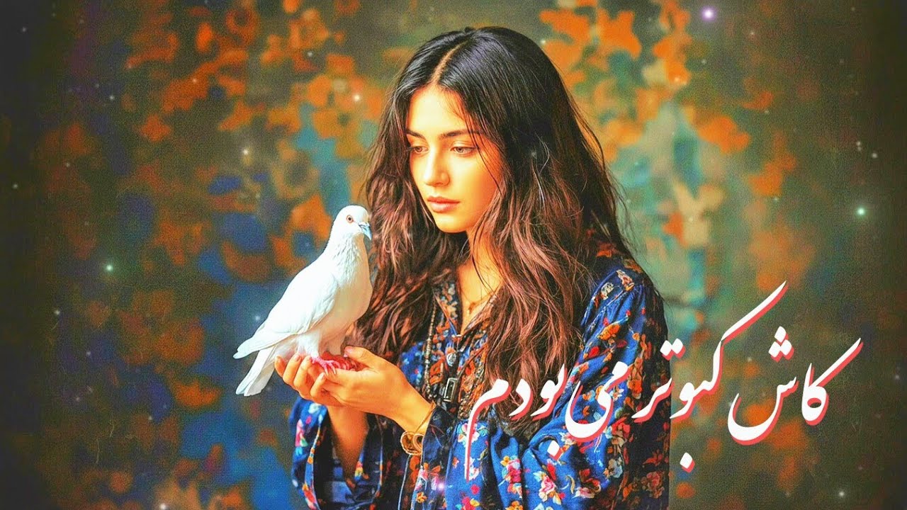 کاش کبوتر می‌بودم | 2025 | Kash Kabotar Mebodom | Cover Song 