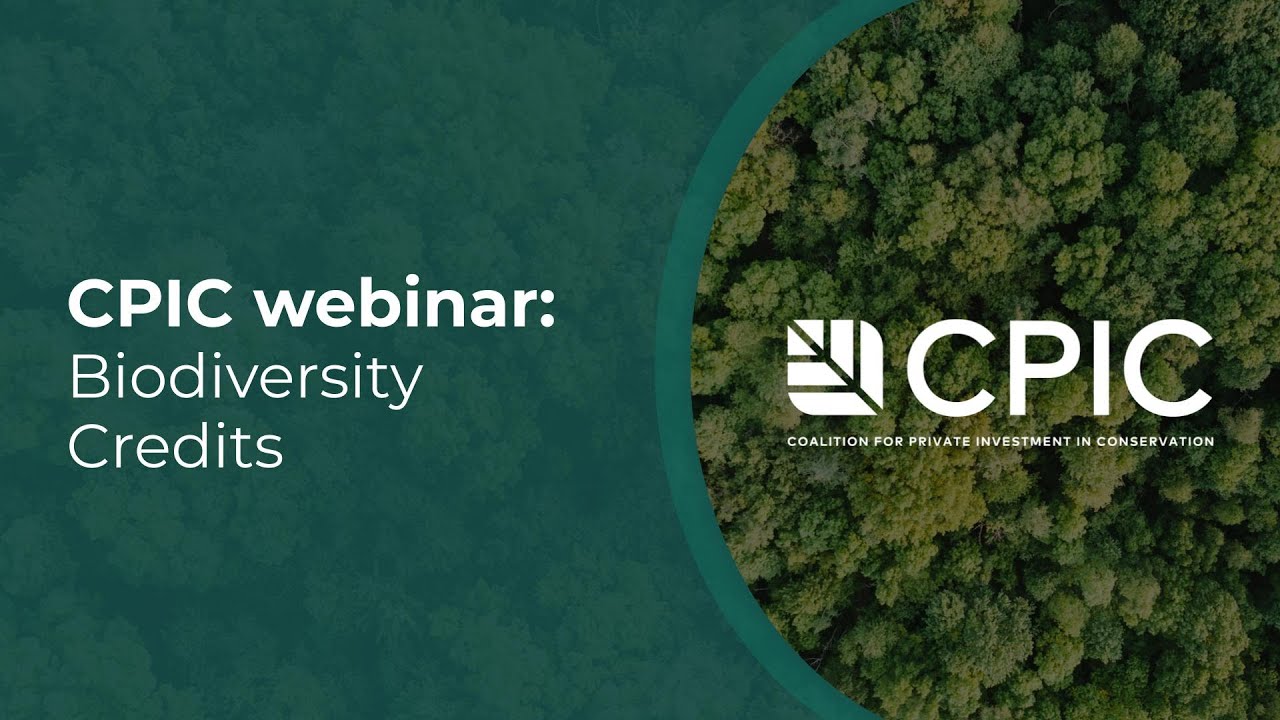 Biodiversity Credits: a CPIC Webinar