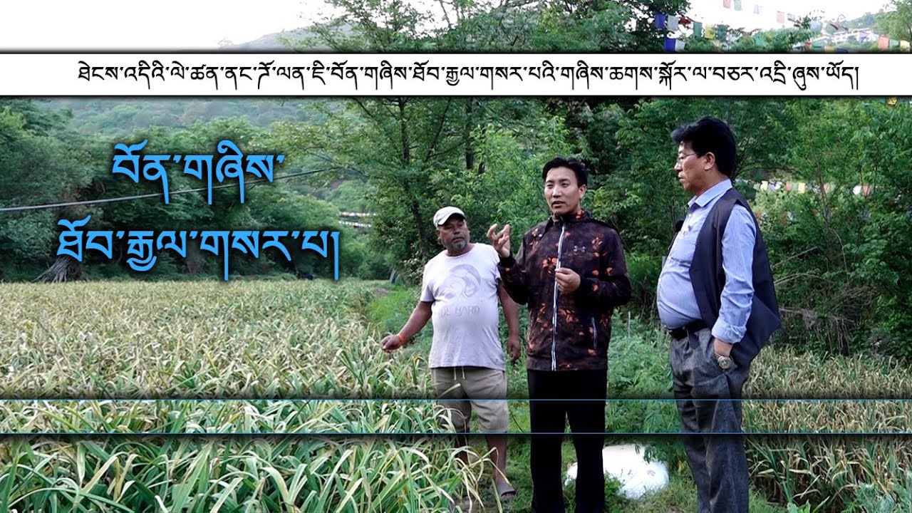 བོན་གཞིས་ཐོབ་རྒྱལ་གསར་པའི་སྐོར་ལ་བཅར་འདྲི།