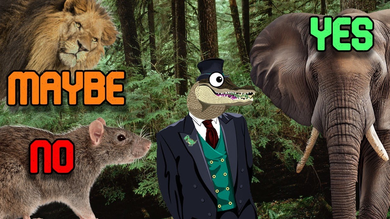 What Animals Do People Think They Can Beat?