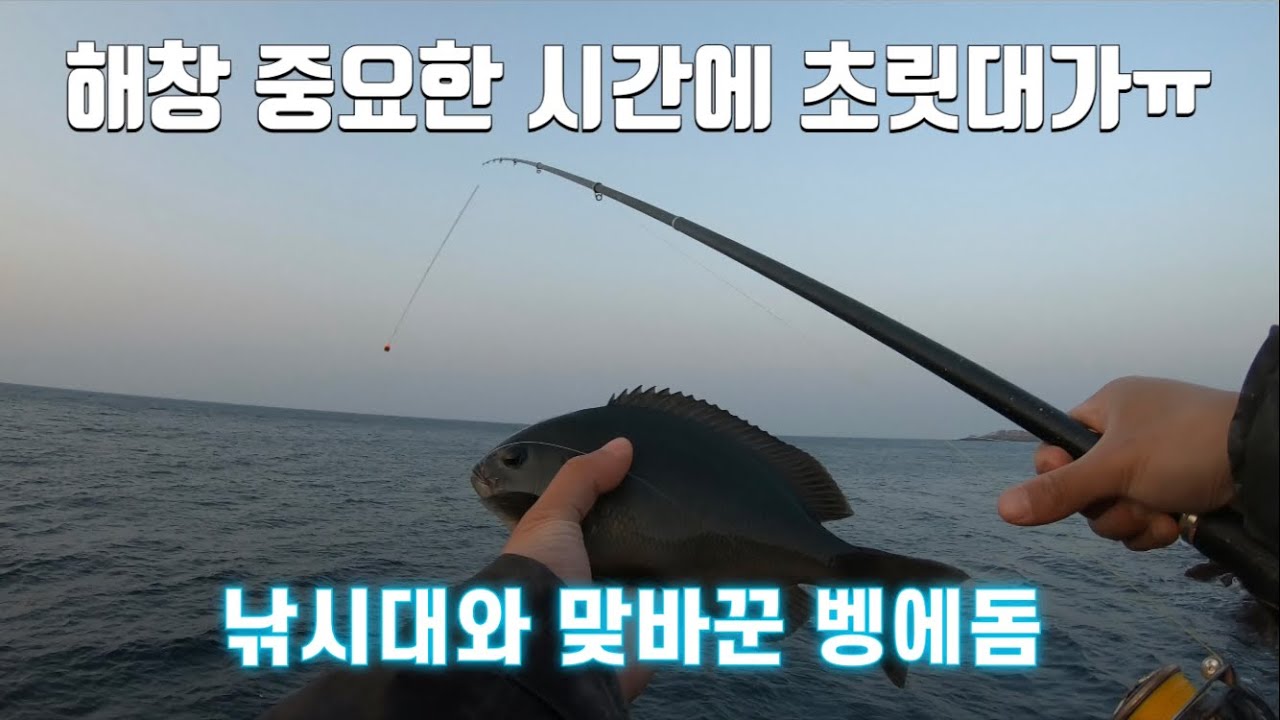 해창 벵에돔 낚시중 낚시대가...?