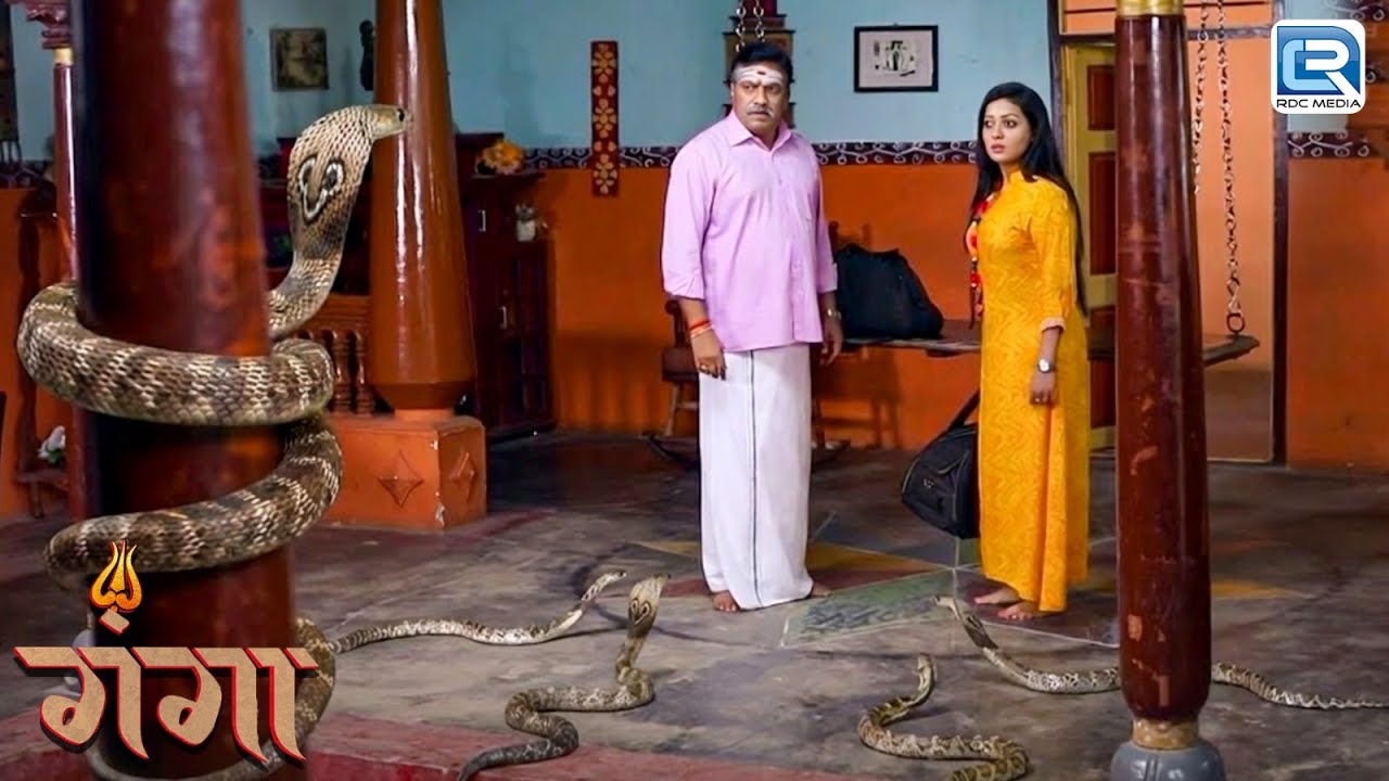 झुंड में सापो ने मिलकर ऐसा कोनसा रहस्य खोला दिव्यानि के सामने ? | GANGA | गंगा | Latest Episode