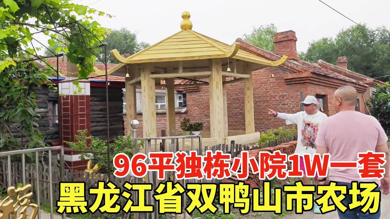 黑龙江省双鸭山市农场，96平独栋小院1W一套，带院子能过户！【鬼头看房】