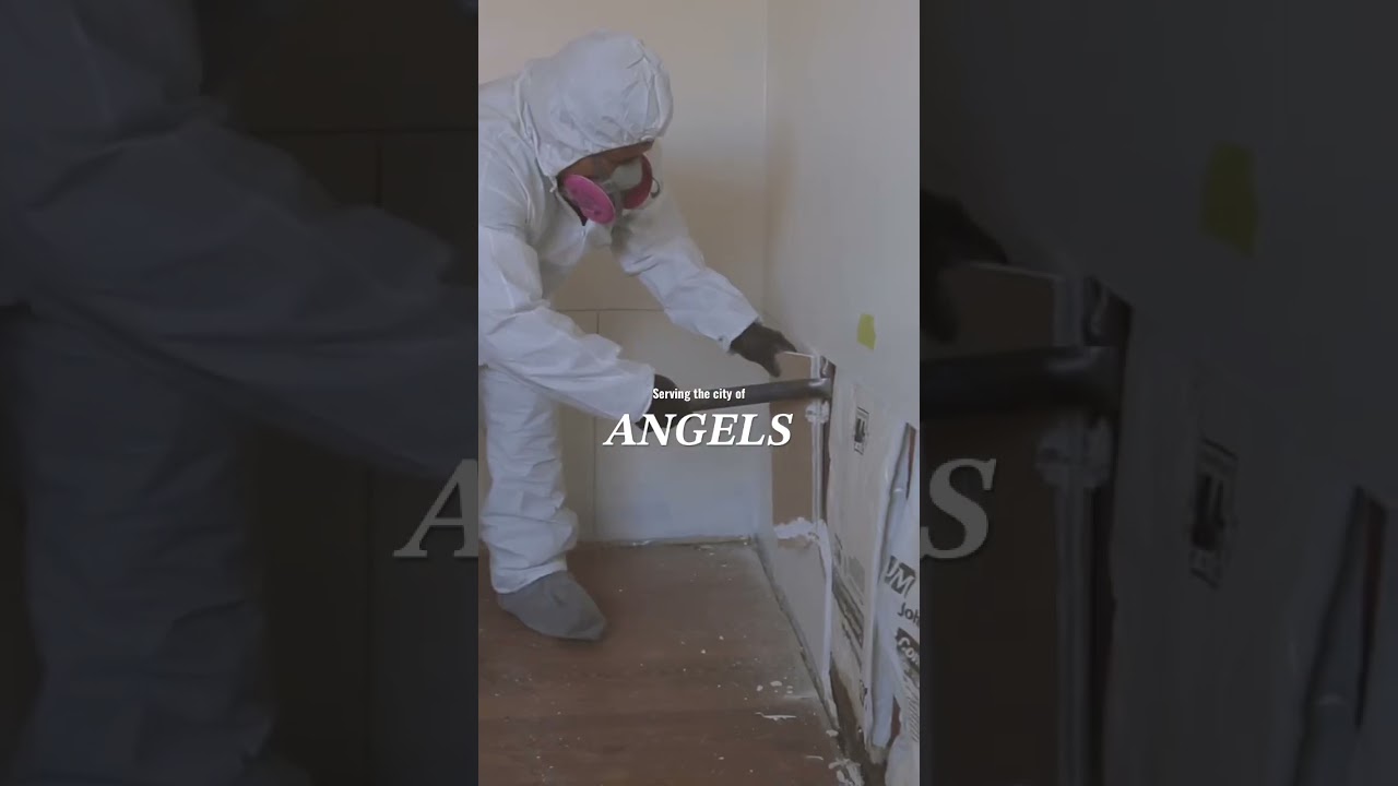 Water Damage Restoration #waterdamagerestoration #prcrestoration #losangeles
