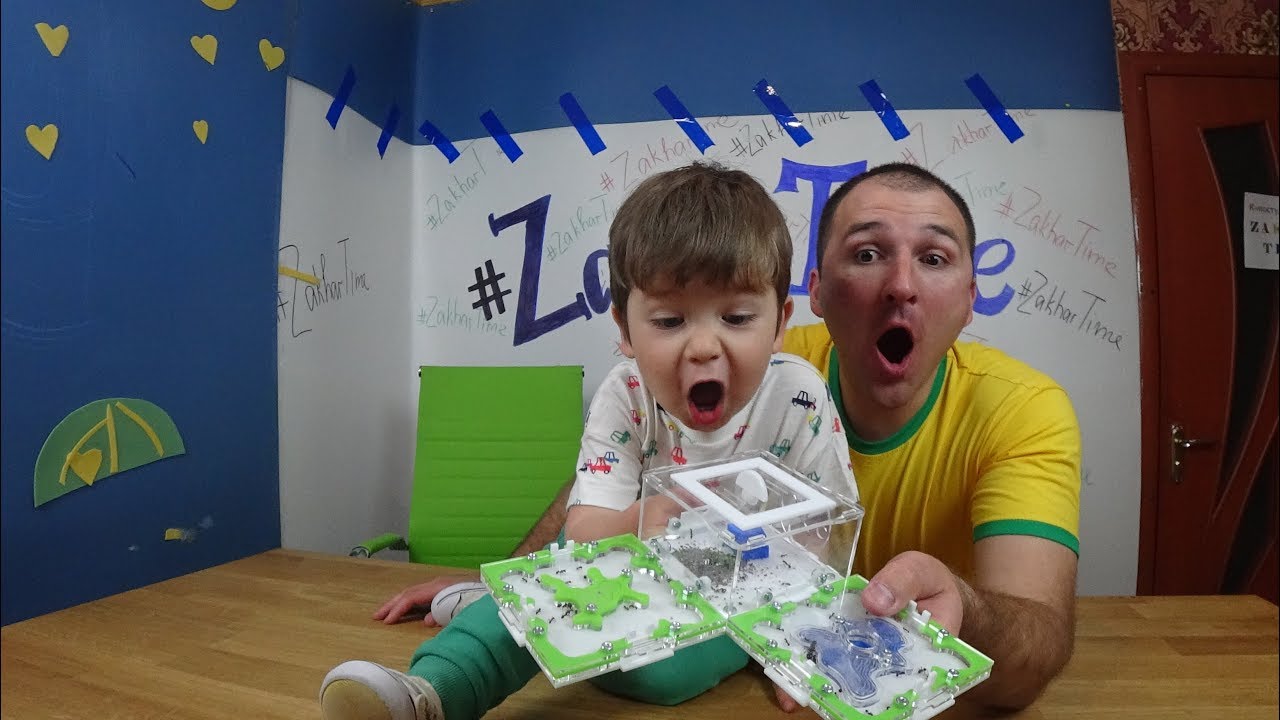 ОНИ В ШОКЕ? 😱Моя НОВАЯ муравьиная ферма!👍 Формикарий РАСПАКОВКА и заселение муравев!