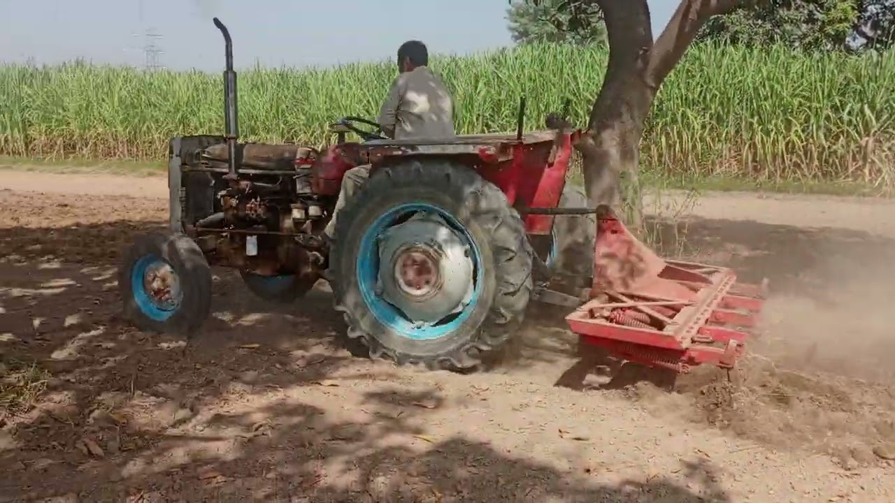 MF 135 1978 model ki 9 cultivator per performance 🚜