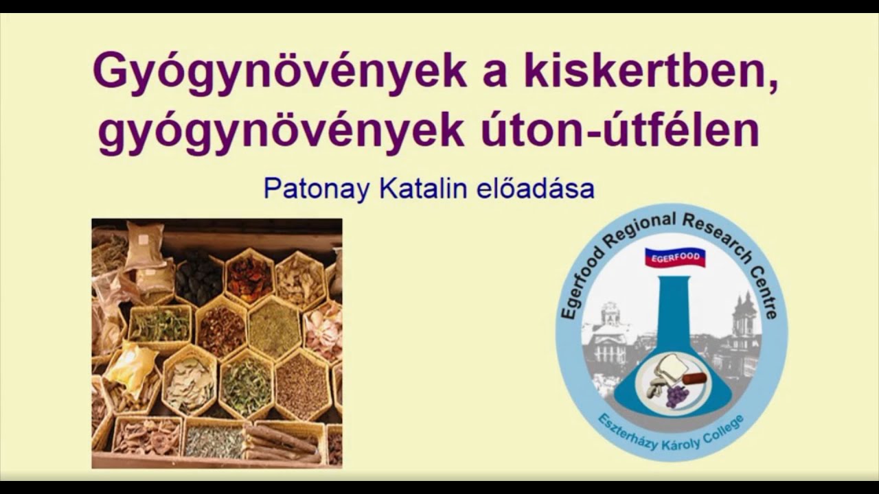 Gyógynövények a kiskertben, gyógynövények úton útfélen - Patonay Katalin előadása