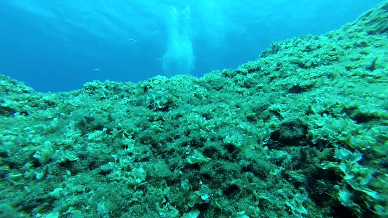 Diving at Limnionas, Kythera island Greece