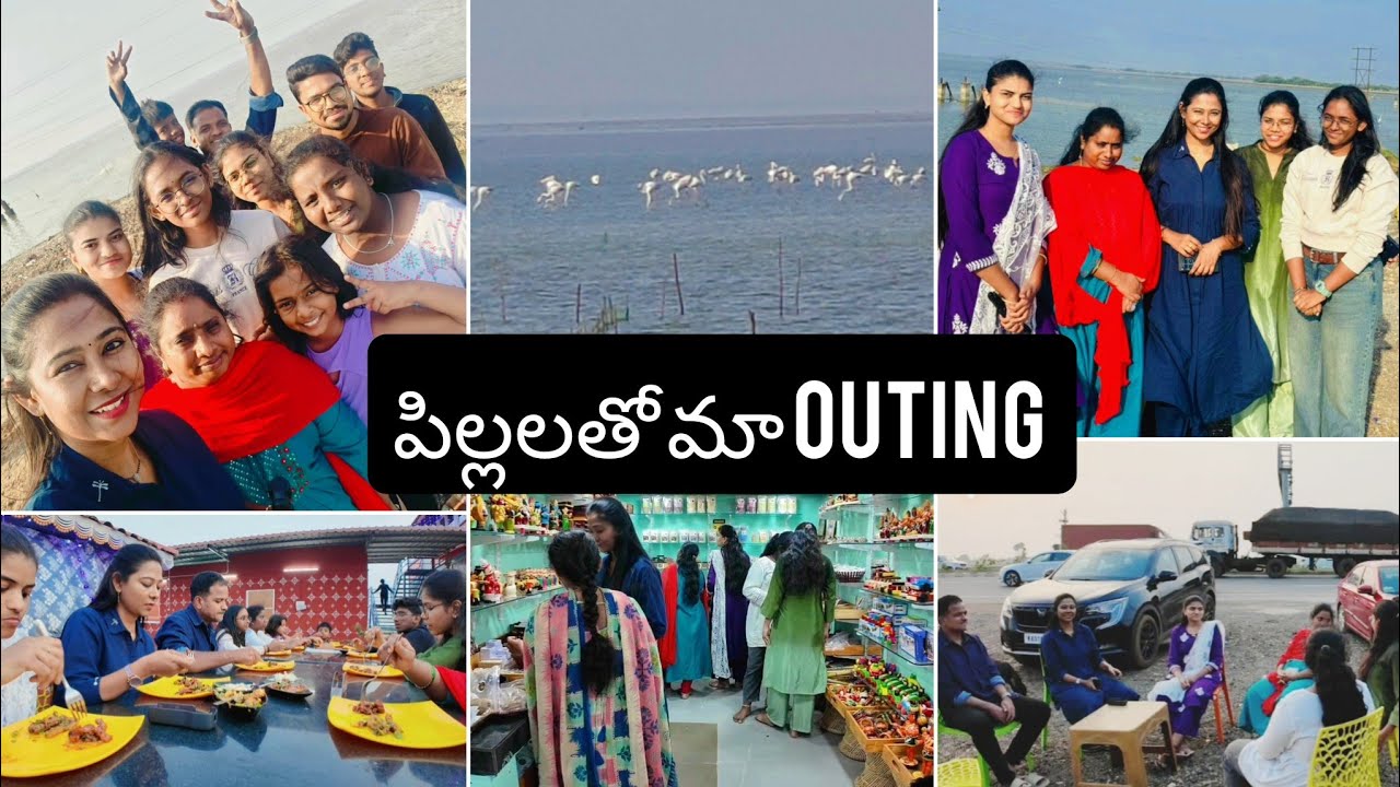 #vlog | Pulicat Lake | Flamingo Festival | ఈ Places ఒక Emotion | AS😘