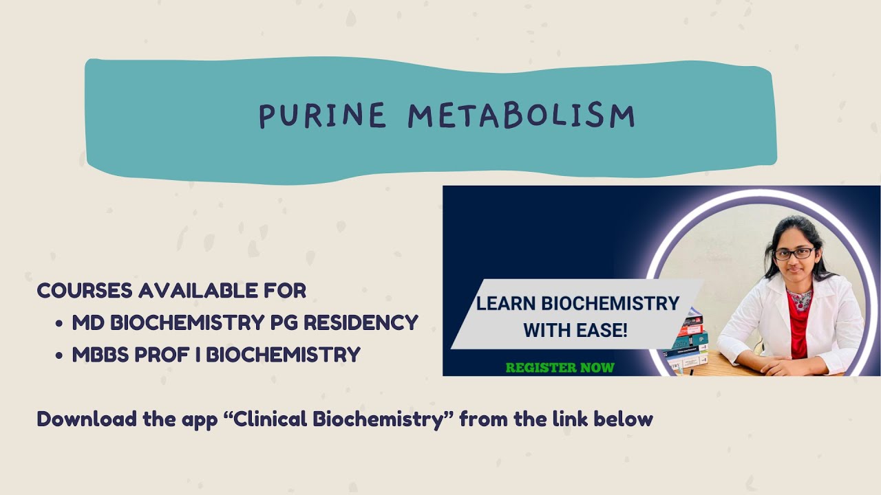 Purine Metabolism and regulation by Dr.Nivedha JN || for MD MBBS Biochemistry