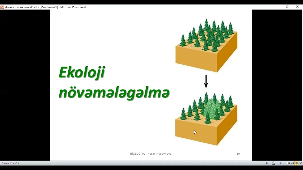 Mikrotəkamül