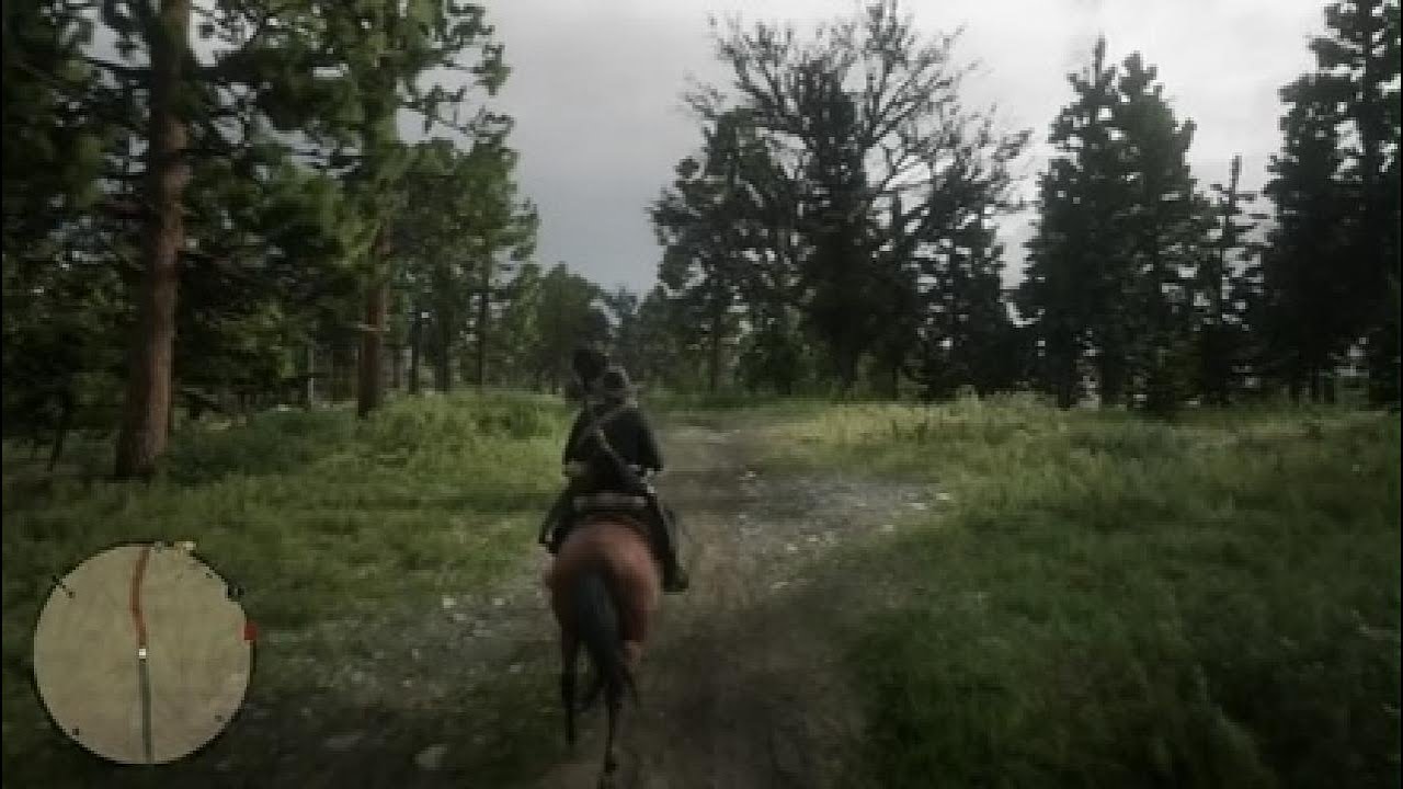 Red Dead Redemption 2