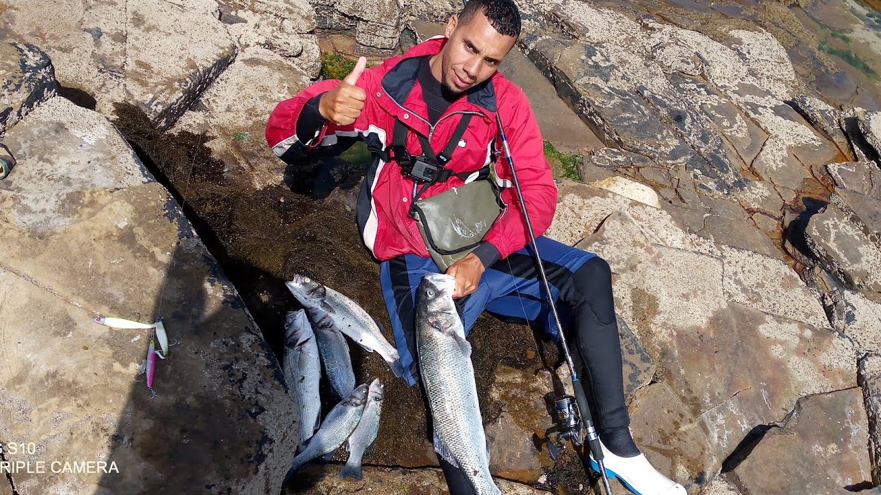 من بين أهم الاشياء التي تجعل سمك درعى يأكل طيلة يوم اجي تعرفو سبب فرجة ديال بصح زززززز🤯😲🎣🐟