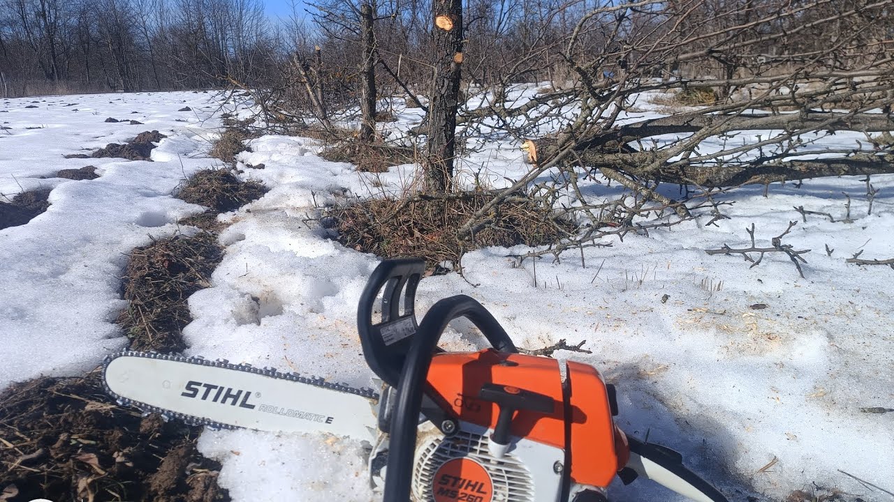 🇺🇦слава Україні🇺🇦❗весняна робота❗сад під корчовку❗STIHL MS 260 в роботі❗🚜🌾🌽🐄🐂🐖🐇🇺🇦