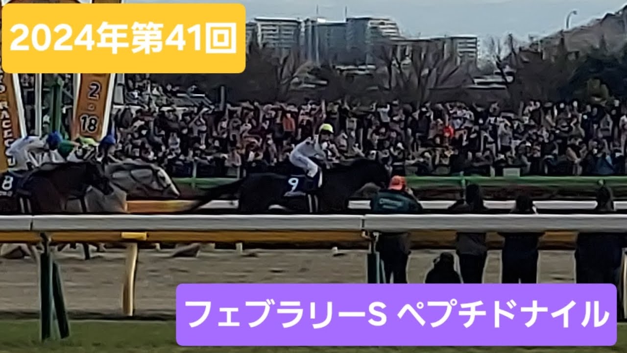 【藤岡佑介J、最後のG1勝利】2024年第41回フェブラリーS（GⅠ）優勝馬ペプチドナイル号 【現地映像】 