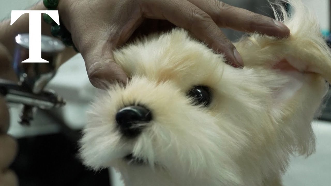 Filipino toy maker creates lifelike pet plushies for grieving owners