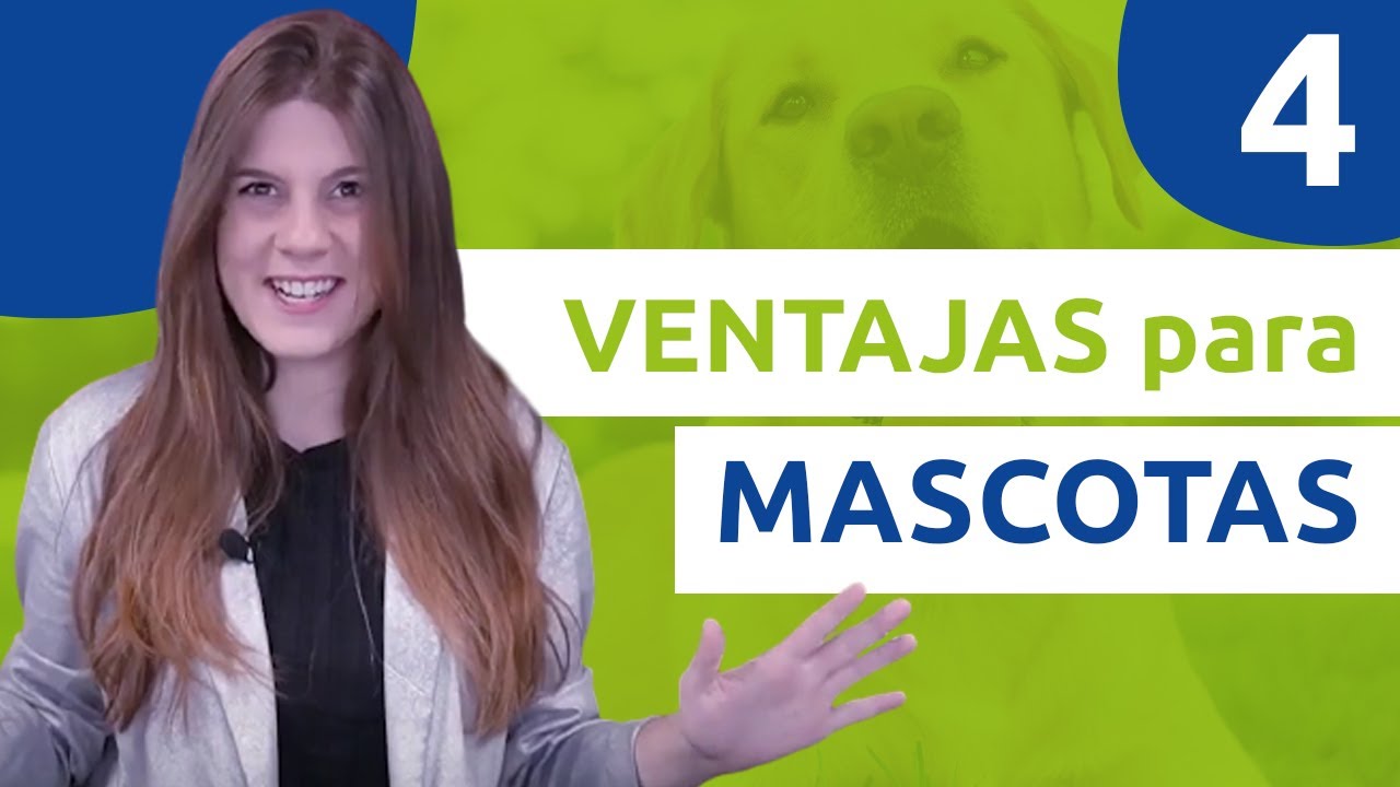 C&Eacute;SPED ARTIFICIAL para MASCOTAS - 4 Ventajas del c&eacute;sped para mascotas de TodoCESPED