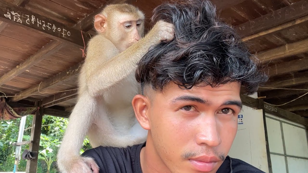 Zueii Sweet Grooming And Good Remove Dandruff Me