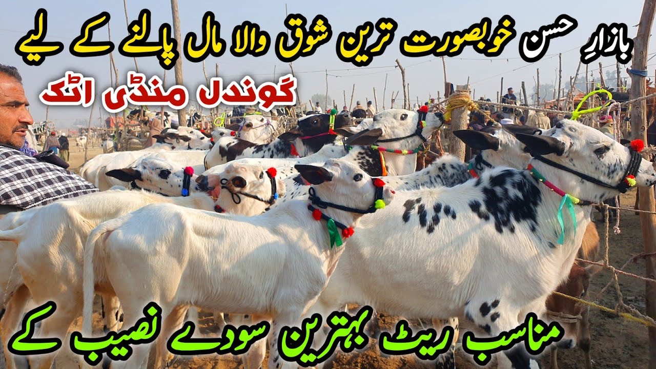 Naseeb Ka Soda Khubsorat Chota Mall Palny Wala Gondal Mandi Attock Update January 2025