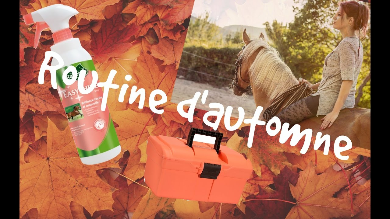 Routine de l'automne !