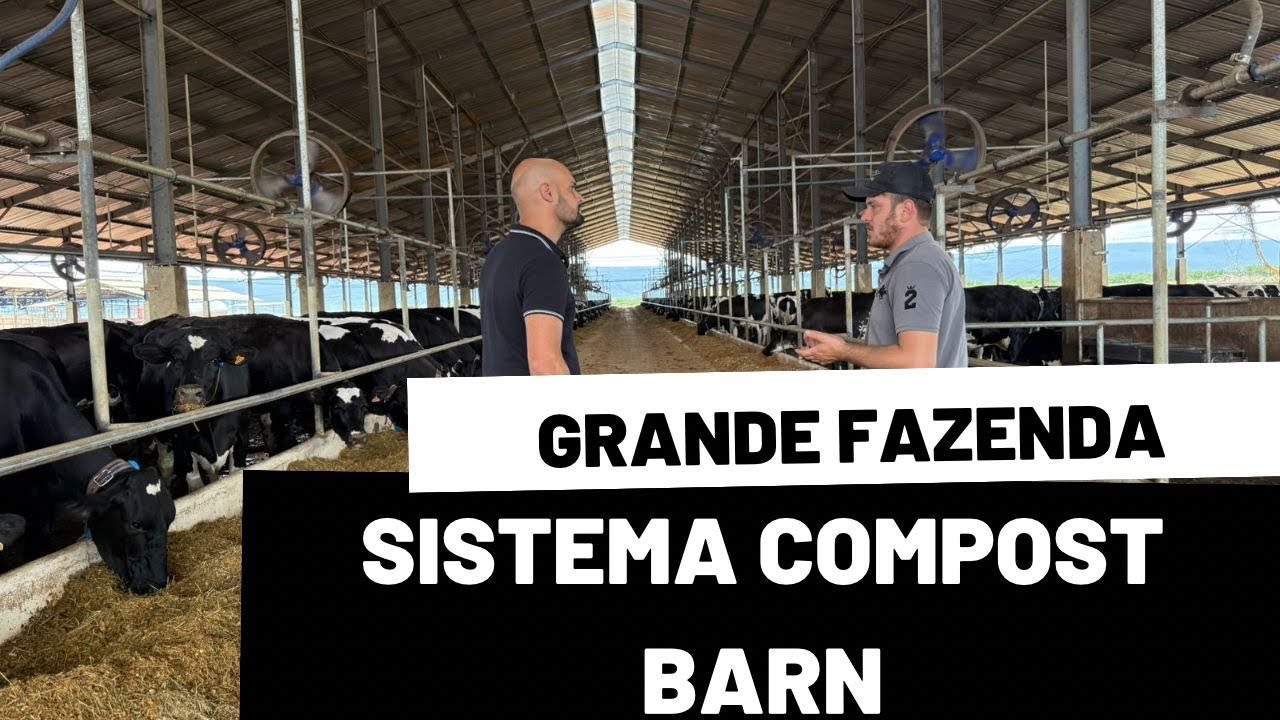 Sistema COMPOST BARN em grande PROPRIEDADE.
