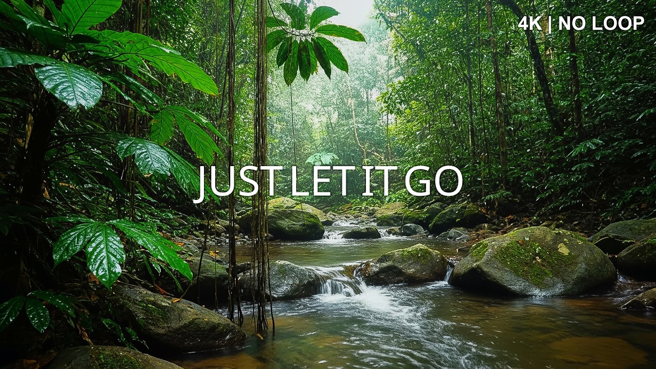 just let it go... 🌊 forest river for the nights you can't sleep