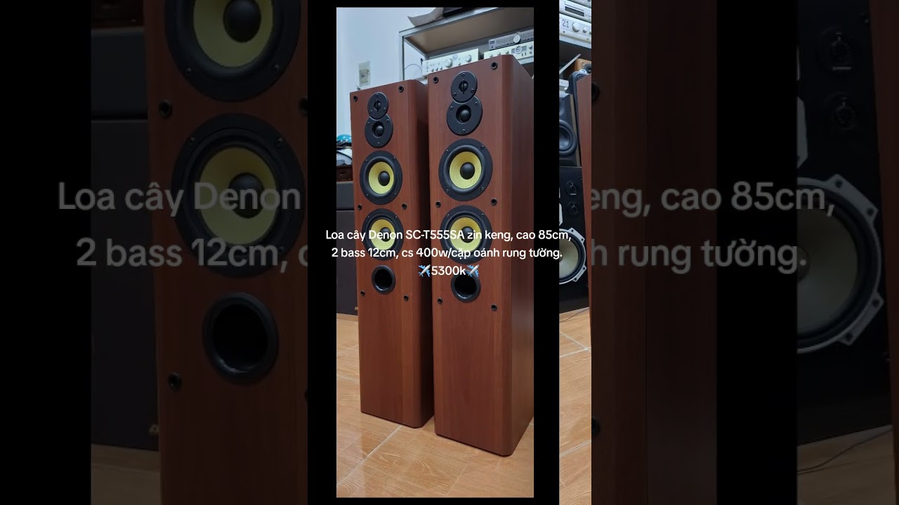 Loa c&acirc;y Denon SC-T555SA