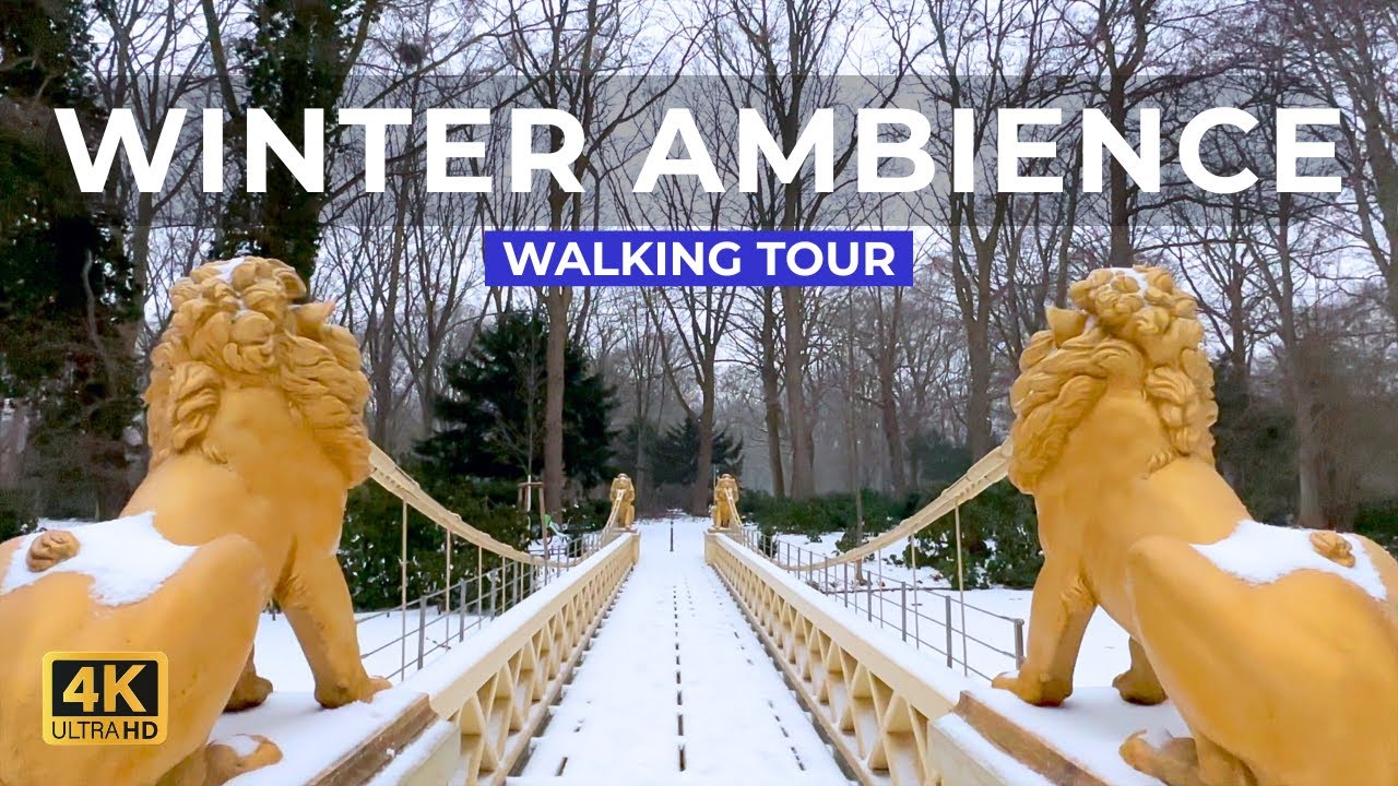 Snow ASMR Walk 4K | Crunching Footsteps in a Sleeping Forest