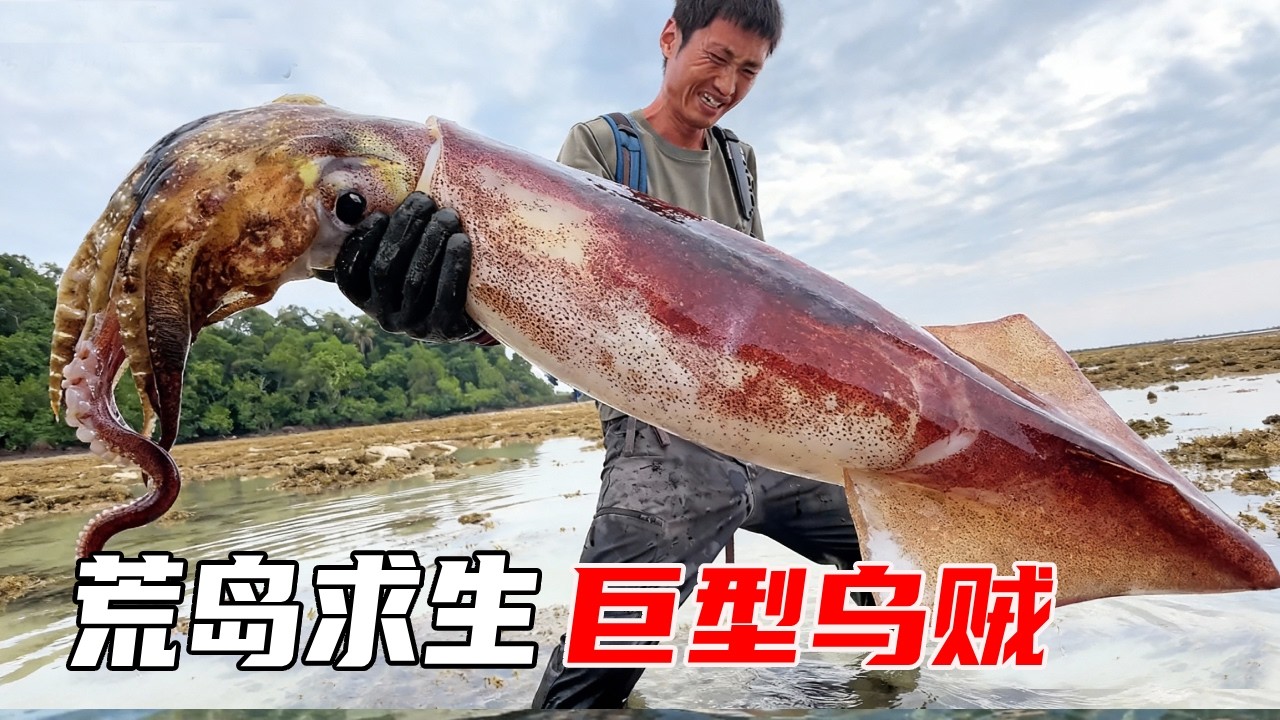 荒岛求生早起赶海抓到大货！10斤重的巨型乌贼真带劲，成片的海胆让人馋的流口水【户外平头哥】