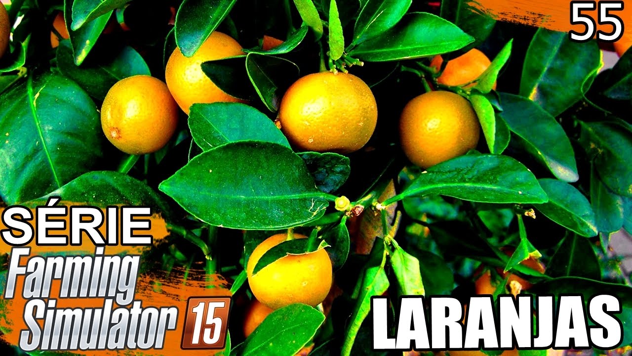 ÁRVORE FRUTÍFERA | Farming Simulator 15 | Em Busca do Sucesso - Episódio 55