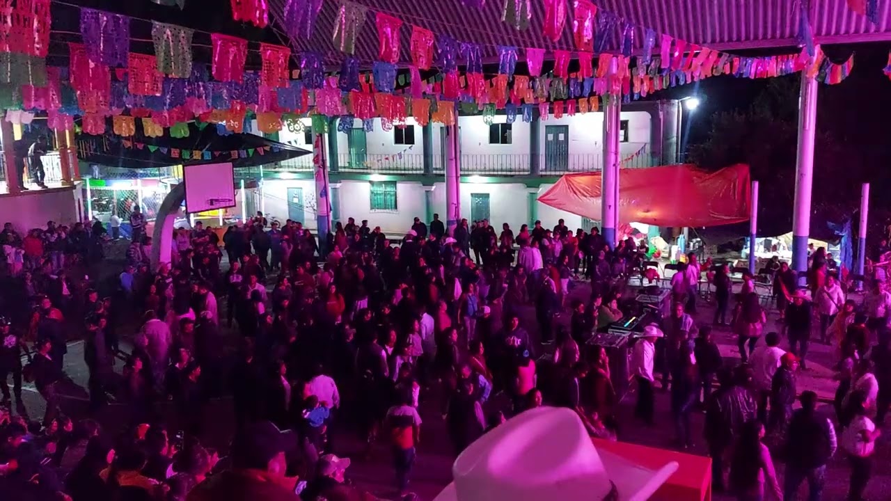Lobo Mixteco en San Miguel Piedras 2025
