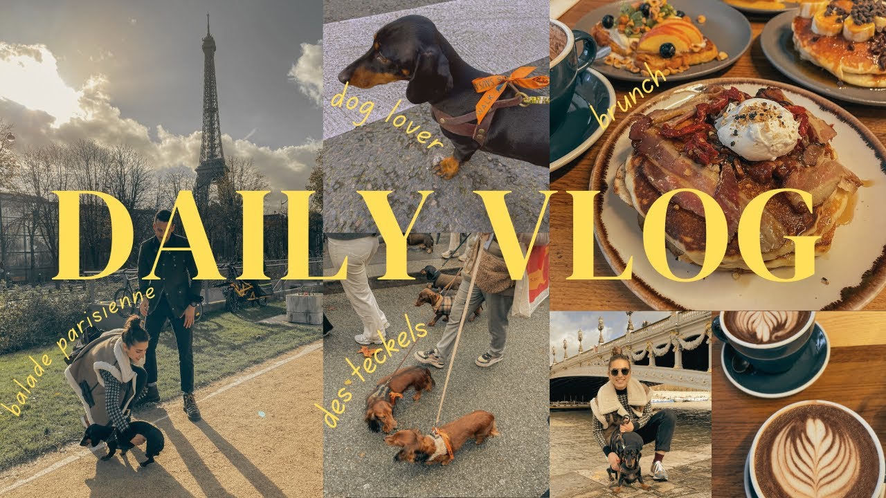 PARIS.SAUSAGE.WALK : la balade aux 1200 teckels (attention mignonnerie)