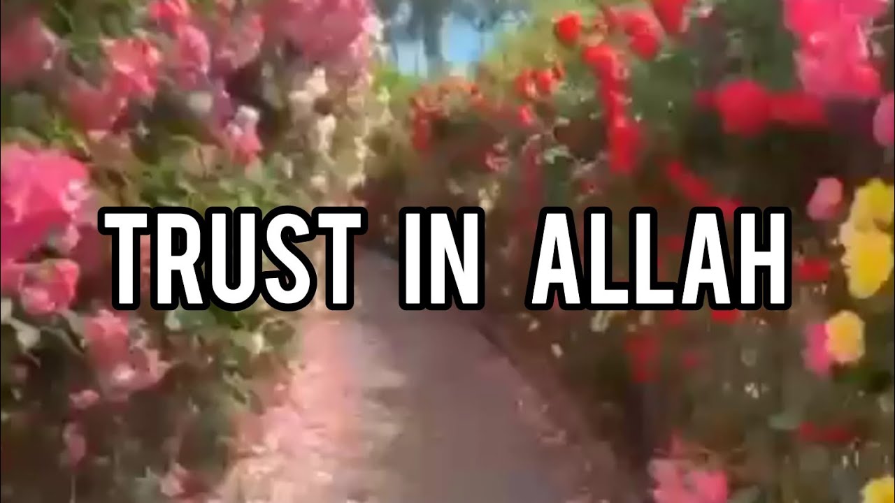 😱Tawakkul in Allah whatsapp status💞#islamicstatus#viral 🌹