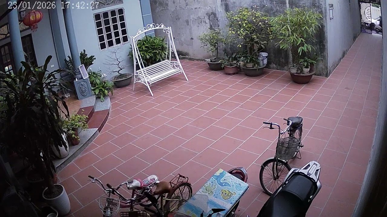 Nghé đi học về 