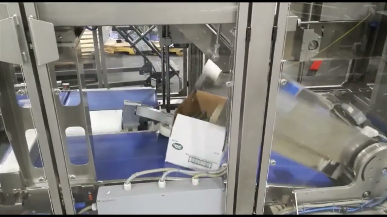 CPS Case Packing Systems CPSL1