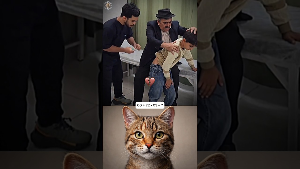 Wait for the last second 🤣  #cat #trending #memes #shortsfeed #funny