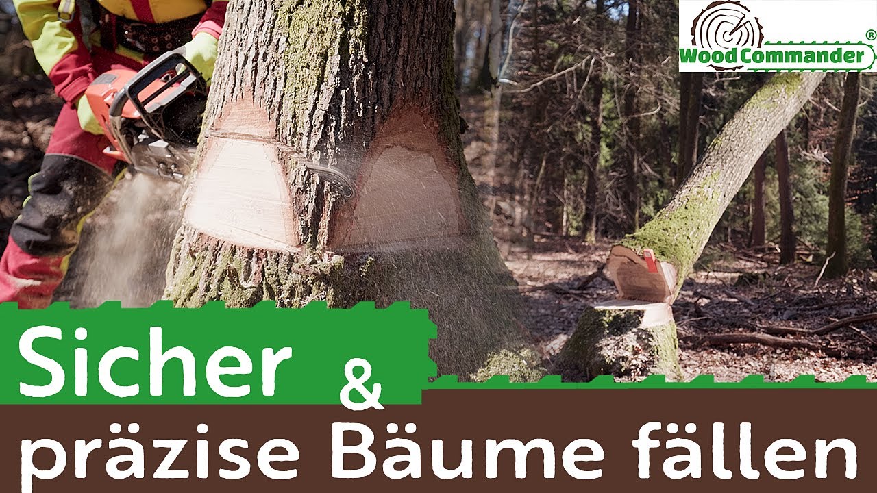 Sicherheitsfälltechnik - Bäume sicher und präzise fällen