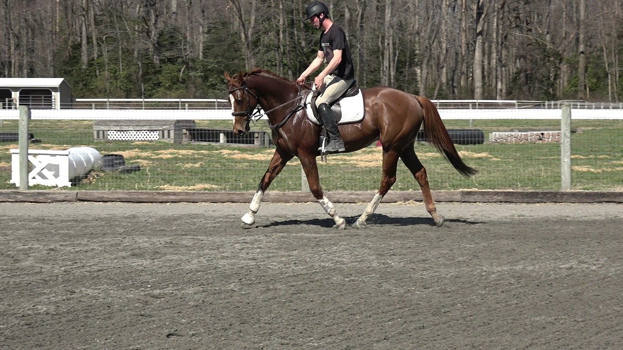 Fenwick 3 10 26