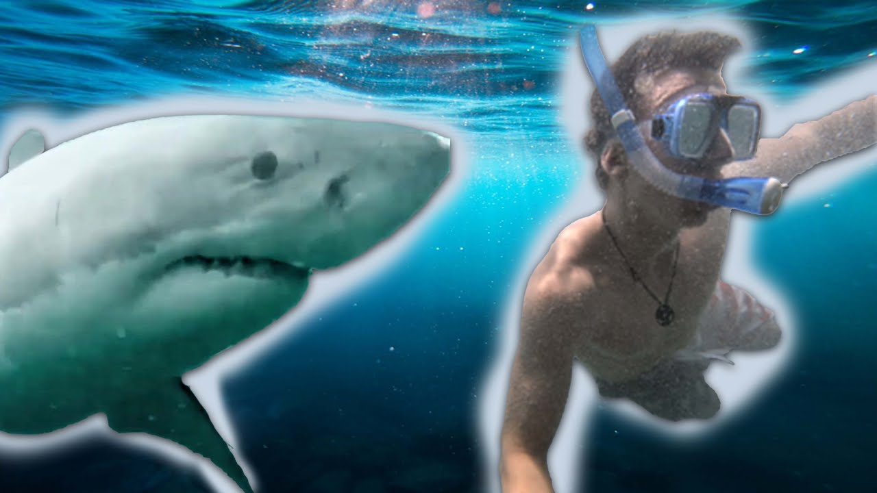 BEST Snorkeling in Costa Rica - Punta Leona