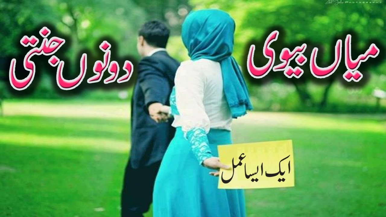 Miyan Biwi Dono Jannati By Maulana Sayyed Aminul Qadri