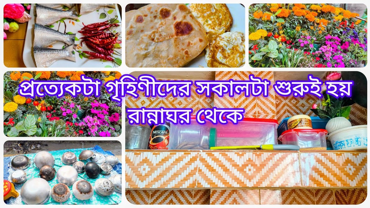 ✨প্রত্যেকটা গৃহিণীদের সকালটা শুরুই হয় রান্নাঘর থেকে 😫😫